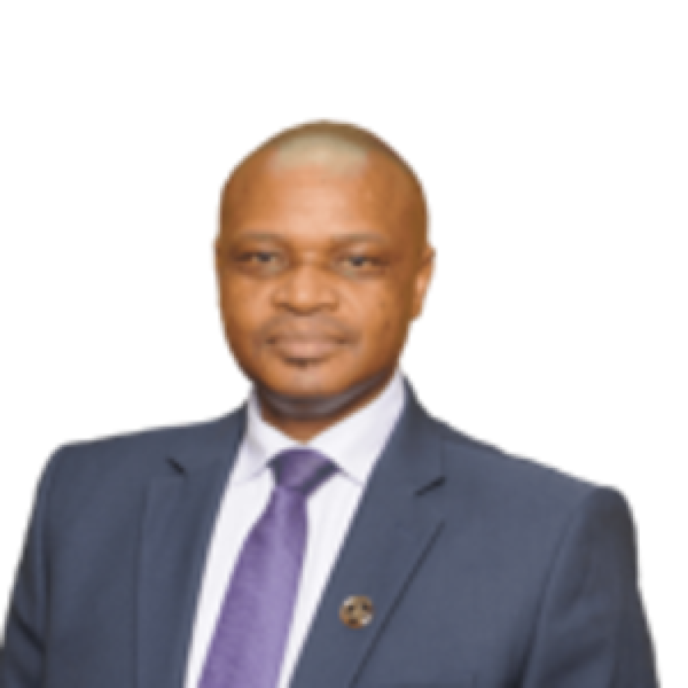 Andy Mothibi